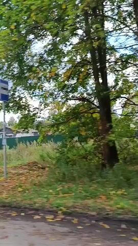 The video captures a passing view of a rural or suburban area with a cloudy sky. On the left side of the frame, there's a gray, paved road with some scattered leaves. Beyond the road, a green fence encloses grassy areas and some vegetation. In the background, several houses are visible, including one painted bright red with white trim and a dark-colored roof. Trees and utility poles dot the landscape. Further along, a tall, thin street lamp stands beside a birch tree. To the right, a business with greenhouses and a sign that reads "САДОВЫЙ ЦЕНТР" (Garden Center) is visible. A few cars are parked in front of the business. The overall impression is of a drive-by observation of a residential and commercial area in a temperate climate, likely during the daytime.