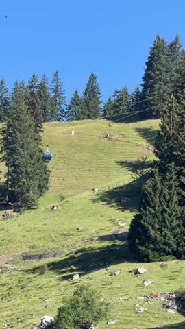 A cable car ascends a grassy slope dotted with scattered rocks and trees. The sky is clear and blue.