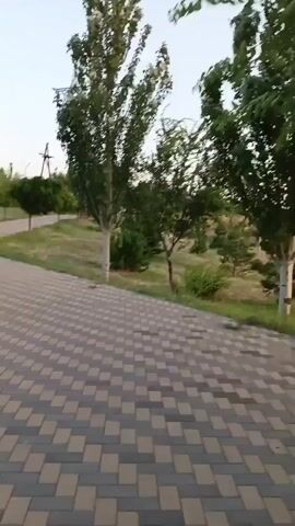 A paved pathway curves through a park-like setting with trees and grass. Power lines and a utility pole are visible in the background. The path is made of interlocking pavers in a diamond pattern. The camera moves along the path, showing different sections of the park. The sky is clear and the lighting suggests it is daytime. There are no people or animals visible in the video.