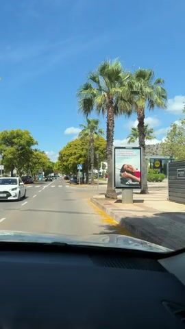 The video is shot from the interior of a vehicle, looking out through the windshield onto a sunny street. The sky is clear and blue. On the right side of the road, there are several tall palm trees and a large billboard advertising Mapfre insurance, featuring a woman with a relaxed expression. Further down on the right, a Lidl supermarket sign is visible. A street light and a blue pedestrian crossing sign are also on the right. The road in front has a marked pedestrian crossing and cars are visible in the distance, some parked along the side of the street. Green trees, some with yellow flowers, line both sides of the road. The vehicle appears to be stationary or moving slowly. Music is playing in the background.