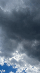 Planes and wildflowers under a cloudy Vaughan sky