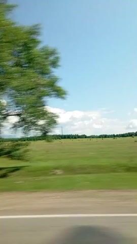 The video shows a wide, green, grassy field under a bright blue sky with scattered white clouds. In the distance, there is a line of trees. A single pole stands in the field. The bottom of the frame shows a blurry road with a white line. The camera appears to be moving horizontally, suggesting it is being filmed from a vehicle.