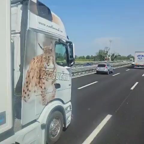 A white truck with a lynx graphic on its side is driving on a highway. Other vehicles, including trucks and cars, are visible in the distance. The sky is blue and clear. The truck has the words "Quality Improved" written on its side.