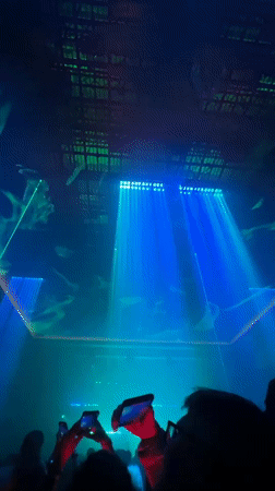 Moscow nightclub features elaborate green laser light show