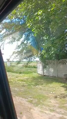 The video begins with a view of a tree and a white structure. It then pans to show a rural landscape with tall grass, a road, power lines, and trees in the distance. A person in white clothing is walking in the distance. A sign is visible, and a statue of a lion on a pedestal is also present. The sky is cloudy. The camera movement is shaky, suggesting it may be handheld or from a moving vehicle. The overall scene depicts an outdoor environment in what appears to be a rural or semi-rural area.