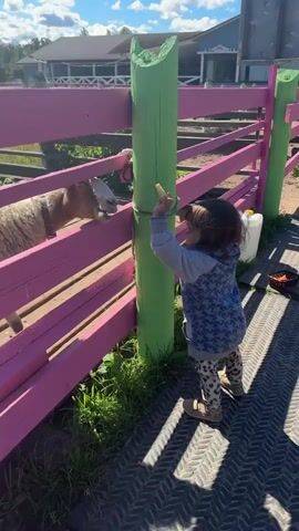 A child feeds a goat through a pink fence. The child is wearing a blue hooded jacket with white stars and patterned leggings. The goat is light brown and white. The fence has bright green posts. In the background, there is a building with a blue roof and a white facade. The sky is blue with white clouds. The ground appears to be a metal walkway.