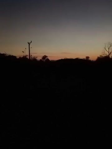 The video is a short, grainy, and dark recording of a silhouette of trees and a utility pole against a twilight sky. The sky shows a gradient of colors from dark blue at the top to orange and pink near the horizon. The lower portion of the video is almost entirely black, obscuring any ground-level details. There are no visible people or discernible actions occurring. The overall impression is a dimly lit, rural landscape at dusk or dawn.