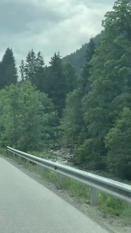 This is a video captured from a vehicle driving along a winding mountain road in Flachauwinkl, Austria. The scene is a lush green forest with a stream visible in the distance. The road is asphalt and has a metal guardrail on the right side. The time of day appears to be daytime, with an overcast and cloudy sky, suggesting possibly cooler weather.

The activity is a journey, likely a scenic drive through a mountainous region. The focus is on the natural landscape, with the dense forest and the flowing water creating a serene atmosphere. The road curves gently, hinting at the exploration of a natural environment.

Notable details include the numerous coniferous trees that dominate the hillsides, interspersed with deciduous trees, creating a vibrant green tapestry. A small stream or river can be seen flowing through the valley, adding to the natural beauty of the setting. There are several road signs visible, including a "STOP" sign and a triangular warning sign with an exclamation mark. The overall mood is tranquil and picturesque, evoking a sense of peace and connection with nature. The location cues, such as the guardrail style and the road signs, are consistent with European mountain roads. There is no discernible text beyond the standard road signage.