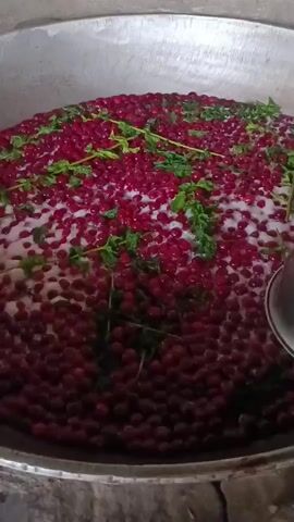 A large metal pot is filled with a dark red, granular substance, possibly berries, which are submerged in a foamy liquid. Scattered green leaves are visible amongst the berries. Several glass jars with golden lids are lined up on a rough, concrete-like surface next to the pot. One jar on the right has a red funnel inserted into its opening. The scene appears to be outdoors or in a rustic, open-air setting with a textured wall in the background.