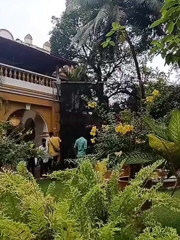 The scene depicts the exterior of a two-story building with a balcony, framed by lush greenery including ferns, yellow flowers, and palm trees. The building is light yellow with white accents, especially on the balcony. Several individuals are visible in the yard in front of the building, some wearing bright shirts. One man is wearing a green shirt, while another is wearing yellow. The scene is taken from a low angle, emphasizing the height of the building relative to the foliage. The weather appears overcast or cloudy, giving a soft, diffused light to the scene. The foreground consists mostly of green plants.