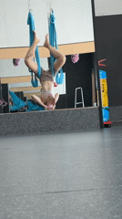Aerial yoga session: multiple people suspended in fabric hammocks