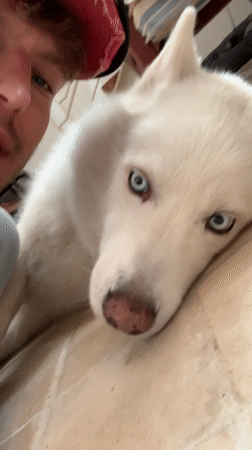 Morning dog walk documented through Tel Aviv neighborhoods