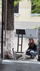 Woman interacts with cat outside building in Rostov-on-Don