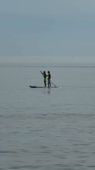Paddleboarding duo on calm water off Estepona