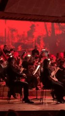 Orchestra Performance Draws Audiences in Tel Aviv Evening Concert