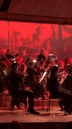 Orchestra Performance Draws Audiences in Tel Aviv Evening Concert