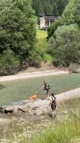 A man and a woman are by a river. The man is in the shallow water with a golden retriever dog, holding a stick. The dog is playing in the water. The woman is walking on the bank of the river behind the man. There is a building in the background on a hill. The river is surrounded by trees and vegetation.