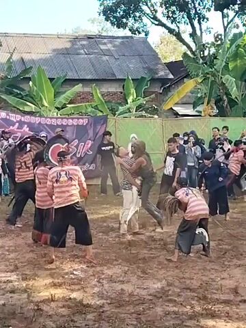 The video shows a group of people performing a traditional dance on a muddy field. There are about eight dancers wearing striped shirts and black pants, some of whom are holding horse masks. One dancer is lying on the ground. Behind the dancers, there is a banner with text and a crowd of people watching. A wooden fence, banana trees, and a corrugated metal roof of a building are visible in the background. People are clapping and moving to the music. The ground is muddy and reflects the sunlight.