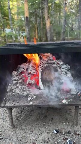 A static shot captures a fire burning in a raised, black metal fire pit outdoors. Large pieces of wood burn with bright orange flames, nestled among glowing red embers and gray ash. Wisps of white smoke curl up from the burning wood. The fire pit stands on four metal legs on a sandy ground. In the background, a blurry landscape of trees suggests a forest setting.