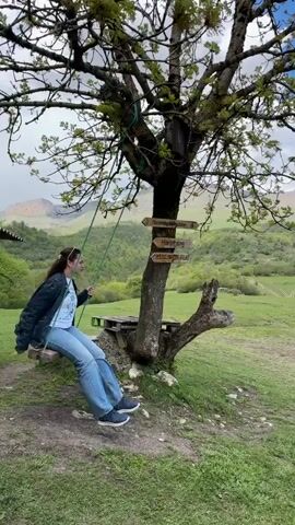 A woman is sitting on a tree swing outdoors. She is wearing blue jeans and a black jacket. The swing is suspended from a large tree with many branches. There are signs attached to the tree. Behind her is a green field and mountains in the distance. There is a bench next to the tree. The sky is cloudy. People are talking in the background.