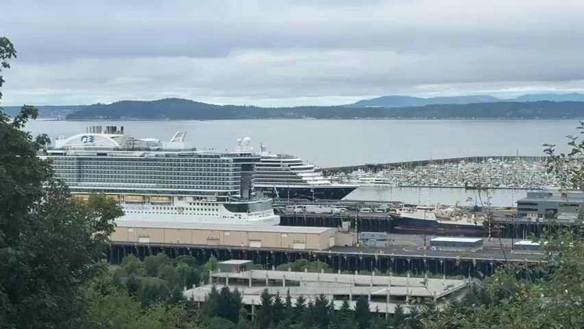 This is a wide shot of a cloudy harbor with several large cruise ships docked. The foreground is filled with lush green trees and foliage, partially obscuring the view. In the middle ground, there are several large, white and gray buildings along the waterfront, with a long pier extending out into the water. Numerous smaller boats are docked in a marina to the right of the cruise ships. The background shows a calm body of water with a distant, tree-covered coastline and a hazy, mountainous landscape. The sky is overcast with scattered clouds.