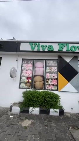The video shows a storefront display filled with teddy bears of various sizes and colors. The sign above the window reads "Viva F". The display is divided into three sections. The left section contains numerous pink and white teddy bears, some with red details, and a few smaller yellow and red stuffed animals. The middle section features two very large teddy bears, one pink and one brown, stacked on top of each other. The right section displays a variety of smaller teddy bears in shades of pink, white, brown, and green, arranged neatly on shelves. A dense green bush is visible in front of the display window, obscuring the lower part of the storefront and the ground. The sky appears overcast.