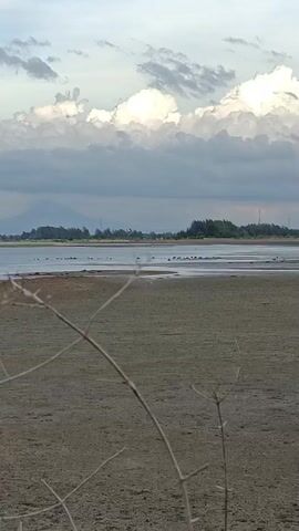 A video shows a body of water with islands and a distant mountain. The water is calm and reflects the sky. There are some birds in the distance. The foreground is a sandy beach with some dry grass. The sky is cloudy with some patches of blue. The video is filmed in landscape orientation and appears to be taken during the day.