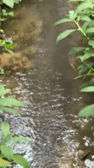 Stream flows through concrete channel in Mengwi, Indonesia