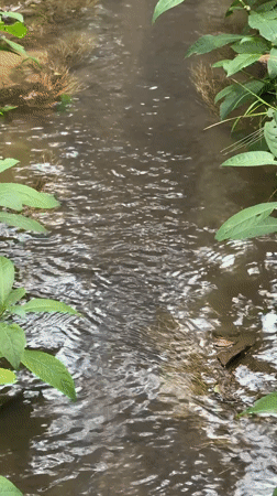 Stream flows through concrete channel in Mengwi, Indonesia
