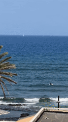 Drone view of a palm-lined beach in Arona, lone surfer waiting