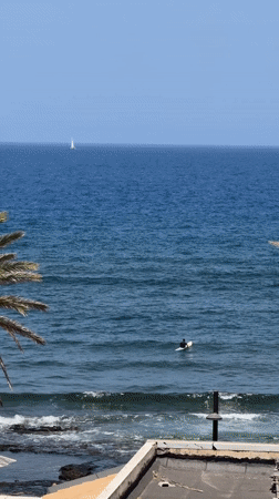 Drone view of a palm-lined beach in Arona, lone surfer waiting