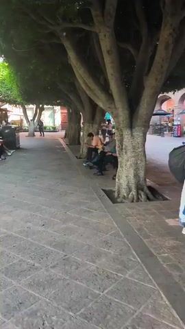 The video shows a plaza with people and vendors. The camera is panning from left to right and then moving forward. The ground is paved with square stone tiles. There are a group of people sitting on a bench under the shade of some large trees. A vendor wearing a hat, white and blue dress, and carrying various bags and dolls stands on the sidewalk near the trees. There is a decorative, blue soccer ball on a stand in the middle of the plaza. People are walking through the plaza. There are shops behind arched columns, and decorations can be seen inside and outside of the buildings. There are also vendor stalls set up in the plaza.