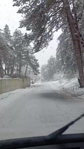 The view from inside a vehicle shows a snow-covered road ahead, flanked by snow-laden trees on both sides. A low concrete wall is visible to the left of the road. It is snowing lightly. The road ahead appears wet, with patches of exposed asphalt showing through the snow. The sky is overcast, and the lighting is dim.