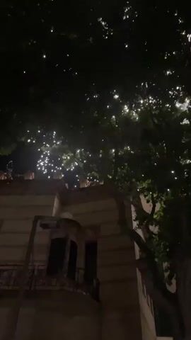 The video shows a nighttime scene with a dark sky and the upper branches of a tree. The tree has leaves that are partially illuminated by an unseen light source, creating a sparkling effect. To the left of the frame, a portion of a building is visible. The building appears to be dark, with the exception of some faint lights or reflections on its facade. The overall impression is that of an urban environment at night.