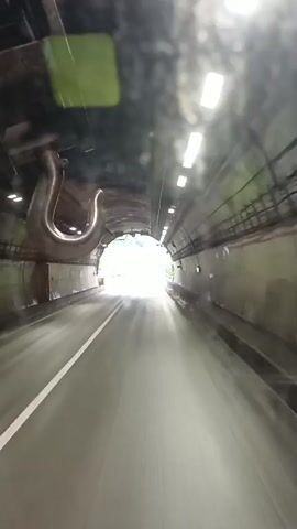 The video shows a view from inside a vehicle traveling through a tunnel. A large metal hook is suspended from the ceiling of the tunnel, close to the front of the vehicle. The tunnel is lit by overhead lights and the end of the tunnel is visible, showing daylight and trees. As the vehicle exits the tunnel, a bridge and a tree-covered hillside are visible. There are road markings, barriers, and streetlights along the road.