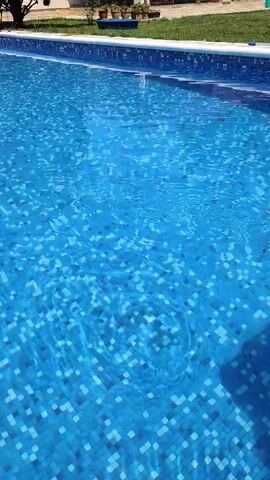 The video shows a close-up, static shot of a swimming pool. The water is clear and blue, with small waves and ripples creating reflections on the mosaic-tiled bottom. The edge of the pool is visible, with a white and blue tile border. In the background, there is a grassy area with a few trees and some potted plants. The sun is shining, casting a shadow of a person or object on the lower right side of the frame.