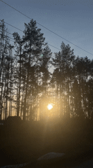 Person documents casual outing with selfies, nature shots in Подшивалово