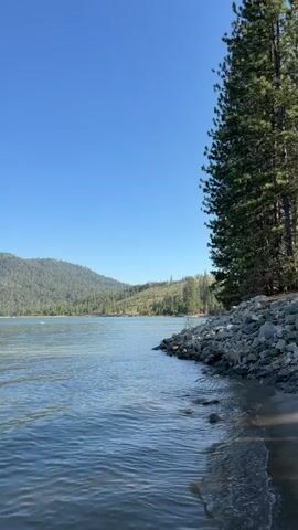 A peaceful lake scene unfolds under a clear blue sky. Gentle waves lap at a rocky shore, where tall evergreen trees stand sentinel. In the distance, lush green hills covered in trees form a majestic backdrop to the tranquil water. The sun casts a warm glow, illuminating the serene natural beauty of the landscape.