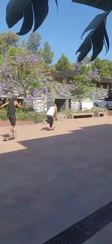 Two young men are skateboarding in an outdoor paved area. The man on the left is wearing a black tank top and black shorts, and is on a skateboard. The man on the right is wearing a white tank top and black pants, and is also on a skateboard. They are moving away from the camera in the same direction. The background includes trees with purple flowers, a building with a pink facade, and some parked vehicles. The lighting suggests it is daytime.