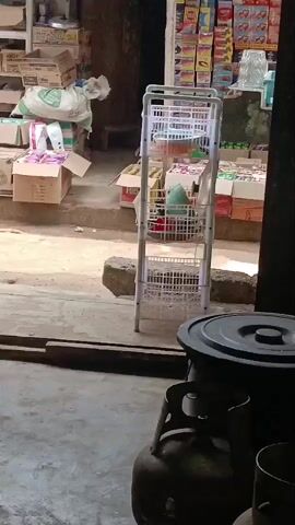 The video shows the exterior of a small shop with goods stacked on shelves and on the ground. In the foreground, a propane tank is visible. A woman wearing a hijab and a patterned dress walks from right to left across the frame. She is carrying a white bag in her right hand and appears to be looking at the shop. The shop interior is visible behind her, filled with shelves of packaged goods. The ground outside the shop is uneven and appears to be made of dirt or gravel.