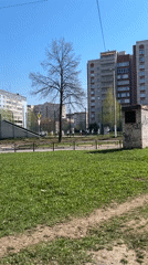 Children run track in urban Izhevsk morning scene