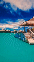 Tropical resort scene captured on video in Burgas, Bulgaria
