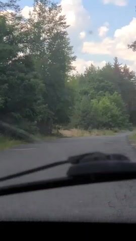 This is a first-person perspective video recording from inside a vehicle, looking out through the windshield. The vehicle is traveling on a paved road that winds through a dense forest. The trees are lush and green, with a mix of deciduous and coniferous species. The road is empty, and the surrounding environment appears peaceful and natural. The sky above is blue with scattered white clouds, suggesting it's daytime with fair weather. The time of day appears to be late morning or early afternoon. There are no people visible in the frame, and the only discernible objects are the vehicle's windshield wipers in the foreground, the road, and the surrounding trees. The overall mood is tranquil, evoking a sense of a quiet drive through a natural landscape. The location is identified as Tsybuli, Ukraine.