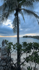 Rocky shores and palm skies along Koh Samui's northeastern coast