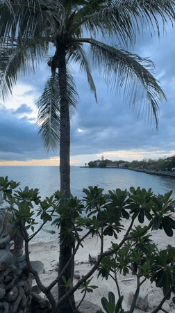 Rocky shores and palm skies along Koh Samui's northeastern coast