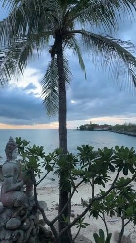 Rocky shores and palm skies along Koh Samui's northeastern coast
