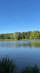 Peaceful afternoon documented at Krakow's Jordana Park lake