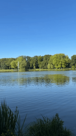Peaceful afternoon documented at Krakow's Jordana Park lake