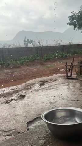 A video shows a grey sky and rain falling. In the foreground, a metal bowl sits on a wet concrete surface. Beyond the bowl, a dirt path with puddles is visible. A low brick wall with plants growing behind it separates the path from a hilly landscape in the background. Branches of trees are visible against the sky. The overall scene depicts a rainy day in an outdoor setting.