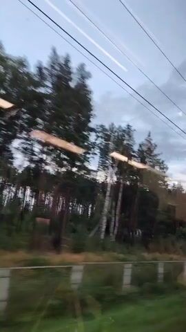 The video shows a view from inside a moving vehicle, likely a train, looking out a window. The landscape outside consists of trees, some of which appear to be evergreen. There are also power lines visible against a cloudy sky. The motion of the vehicle causes a blur effect, particularly on the trees. In the foreground, there is a reflective surface, possibly the window itself, which shows indistinct reflections. A low concrete barrier with a railing is visible at the bottom of the frame, suggesting the vehicle is moving alongside a track or road.